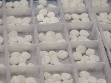 画像をギャラリービューアに読み込む, オリジナル桔梗信玄餅アイス