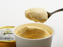 画像をギャラリービューアに読み込む, ニューヨーク堂 カップアイス バニラ