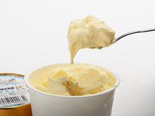 画像をギャラリービューアに読み込む, ニューヨーク堂 カップアイス ヨーグルト