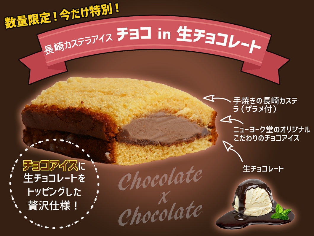 【限定フレーバー】長崎カステラアイス_チョコ＜in 生チョコレート＞