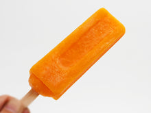 画像をギャラリービューアに読み込む, 早和果樹園 有田みかんアイスバー
