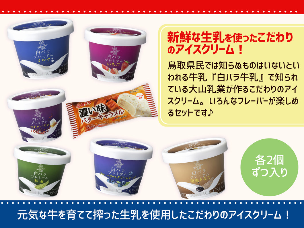 大山乳業_白バラプレミアムセットA（14個入り）