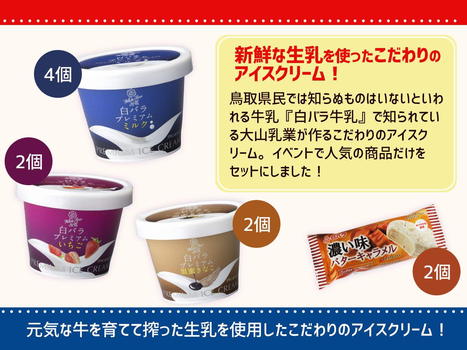大山乳業_白バラプレミアムセットA（14個入り）｜ご当地アイス通販
